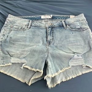 Torrid stretch denim shorts